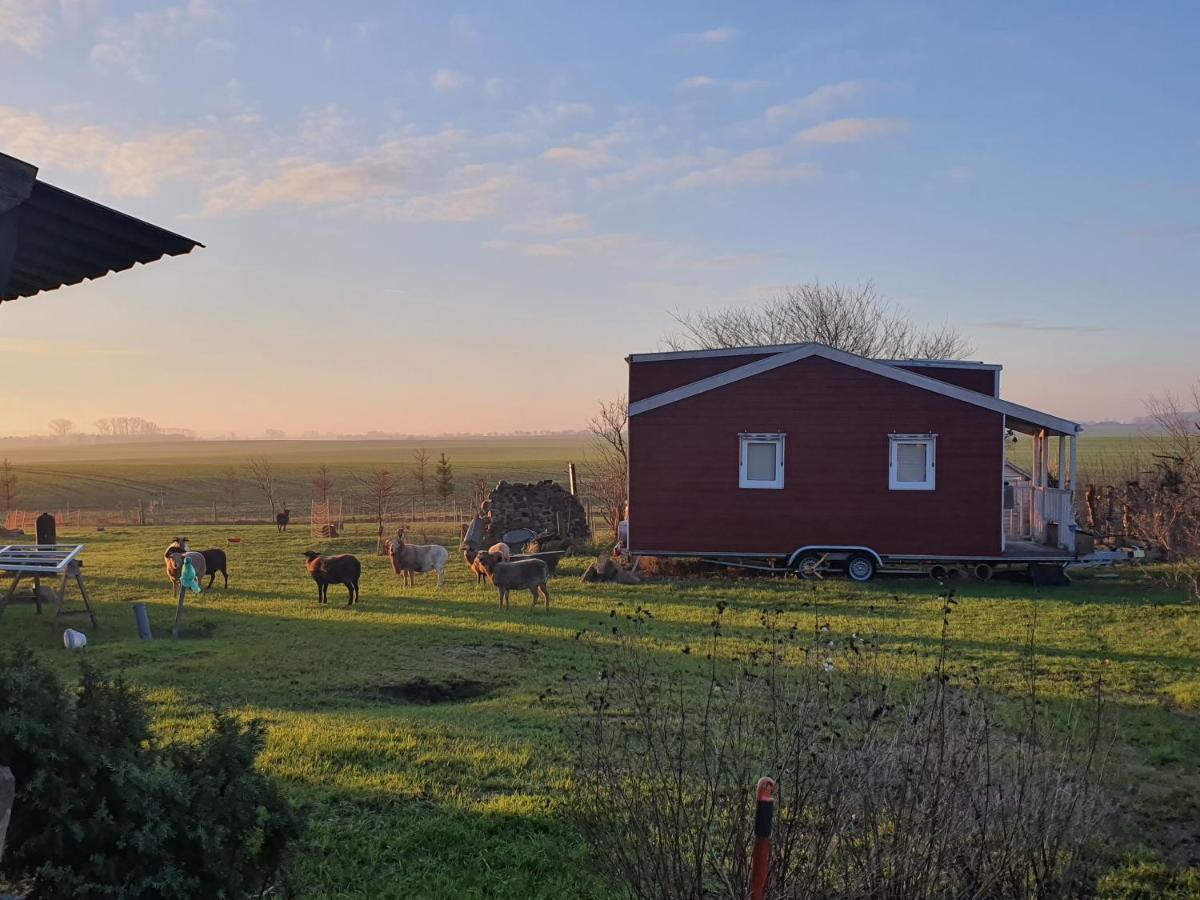 Tiny House Βίλα Schonbeck  Εξωτερικό φωτογραφία